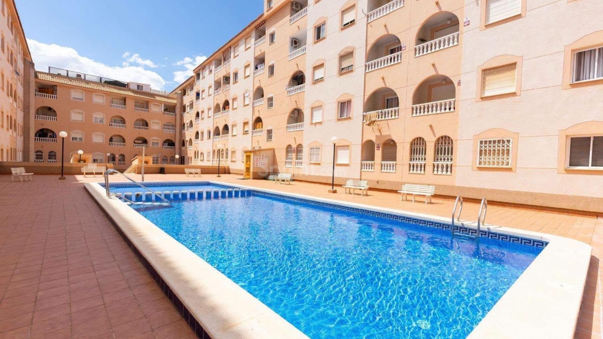 Segunda mano - Apartamento -
Torrevieja