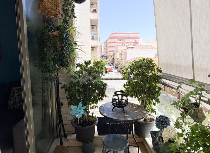 Segunda mano - Apartamento -
Torrevieja
