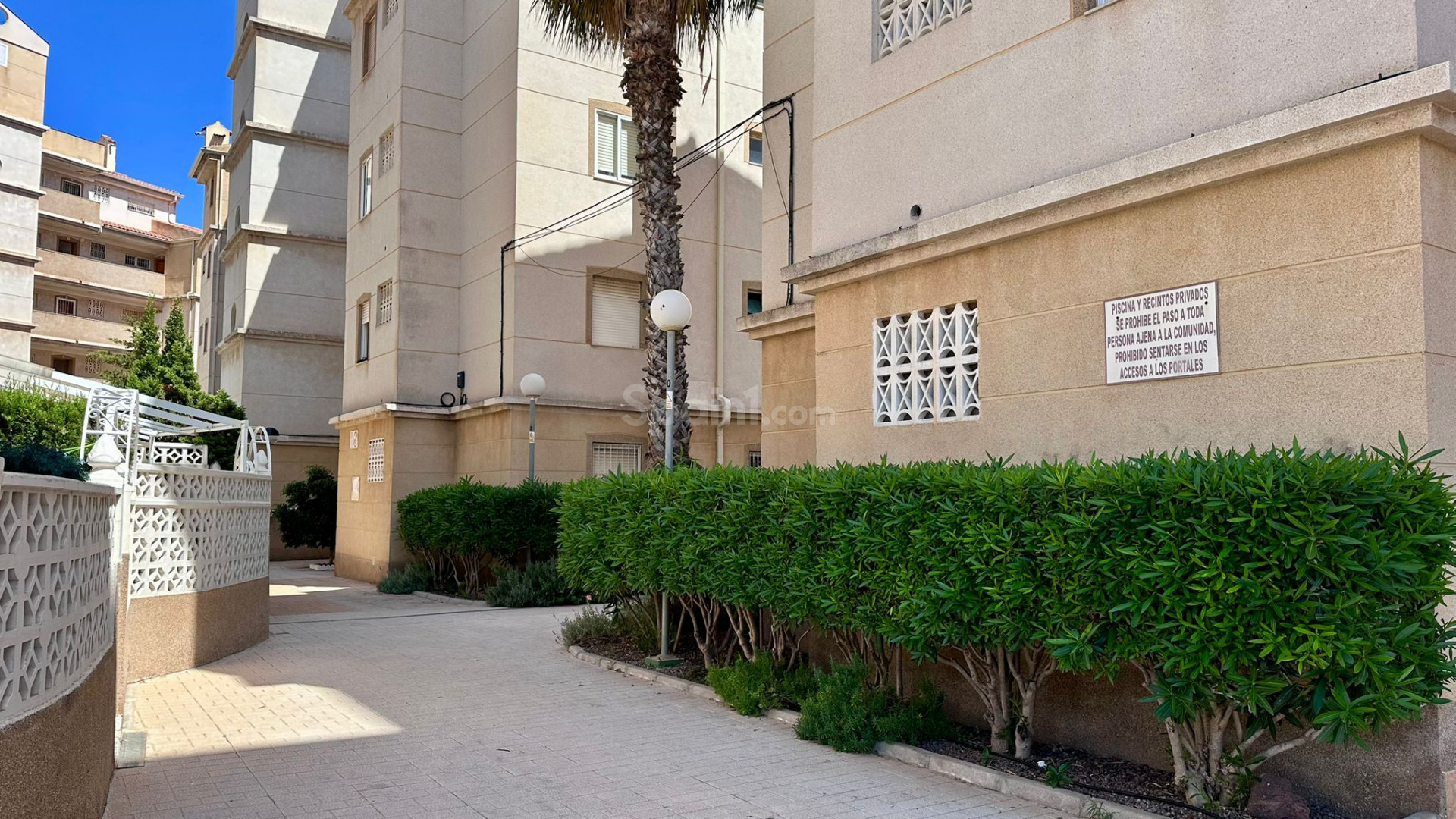 Segunda mano - Apartamento -
Torrevieja