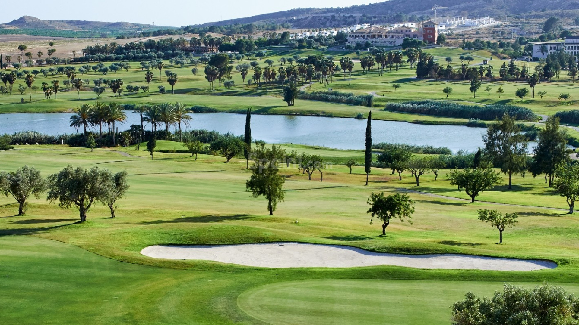 Segunda mano - Tierra -
Algorfa (montemar) - Algorfa
