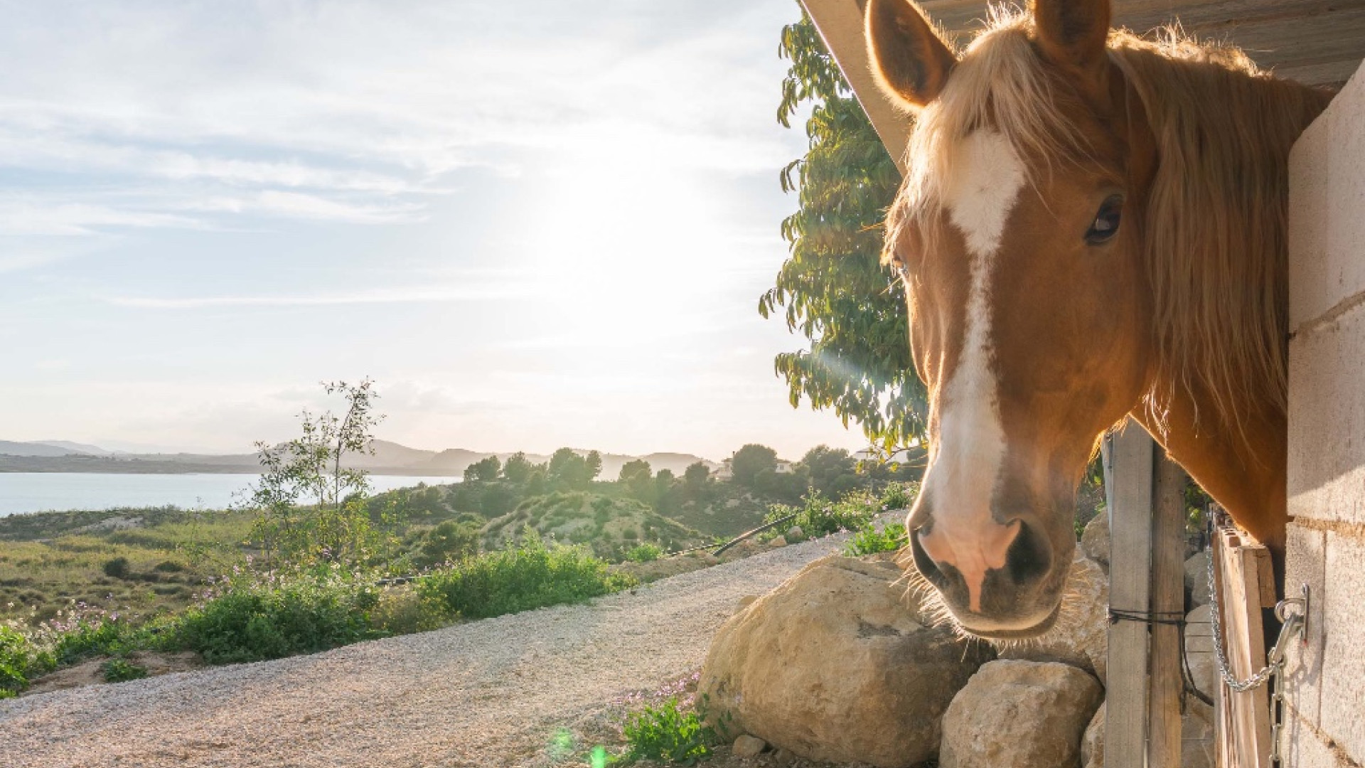 Segunda mano - Villa -
Costa Blanca - Orihuela Costa