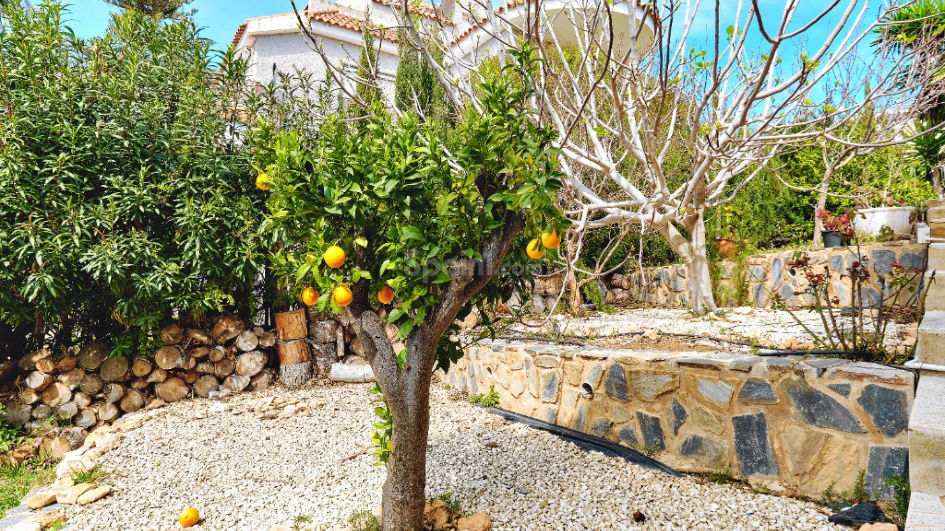 Segunda mano - Villa -
Dehesa de Campoamor - Campoamor