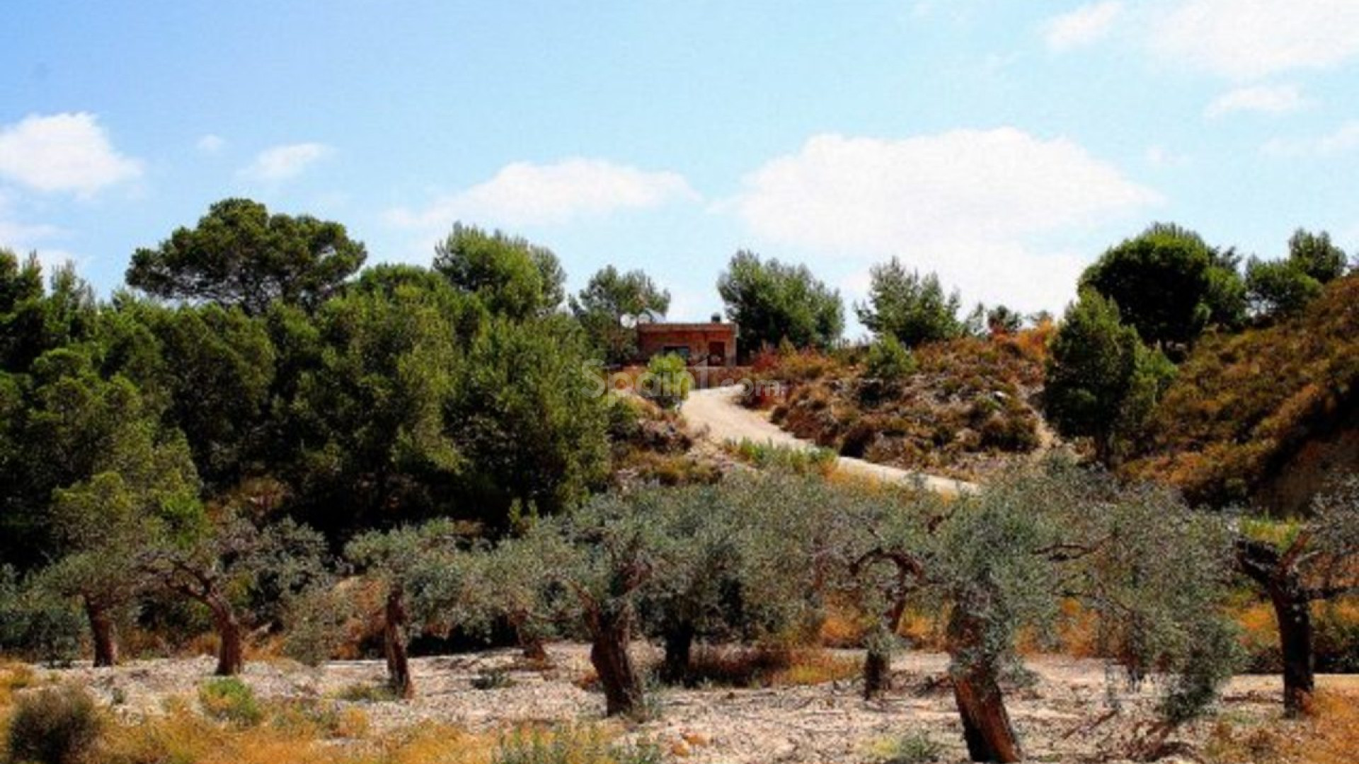 Segunda mano - Villa -
Gea Y Truyols