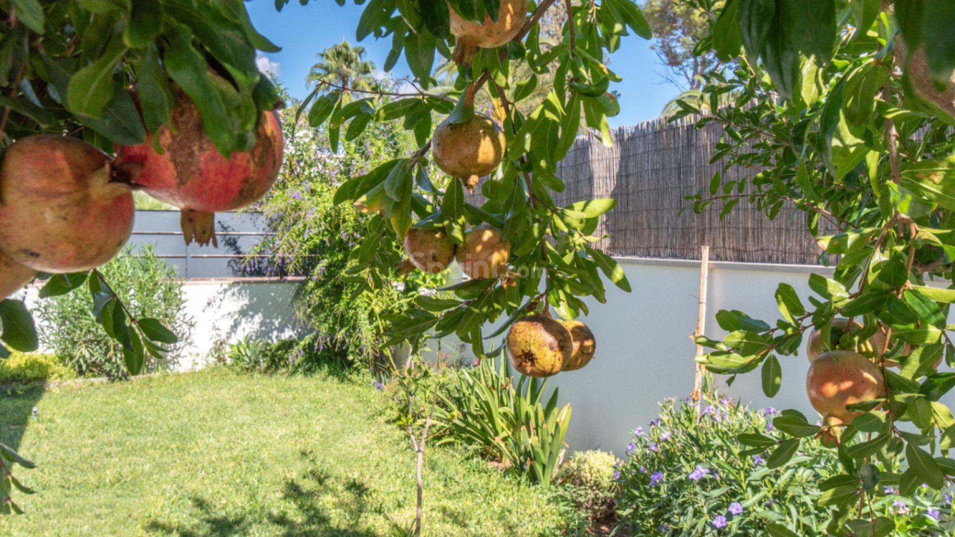 Segunda mano - Villa -
Marrachí - Mallorca