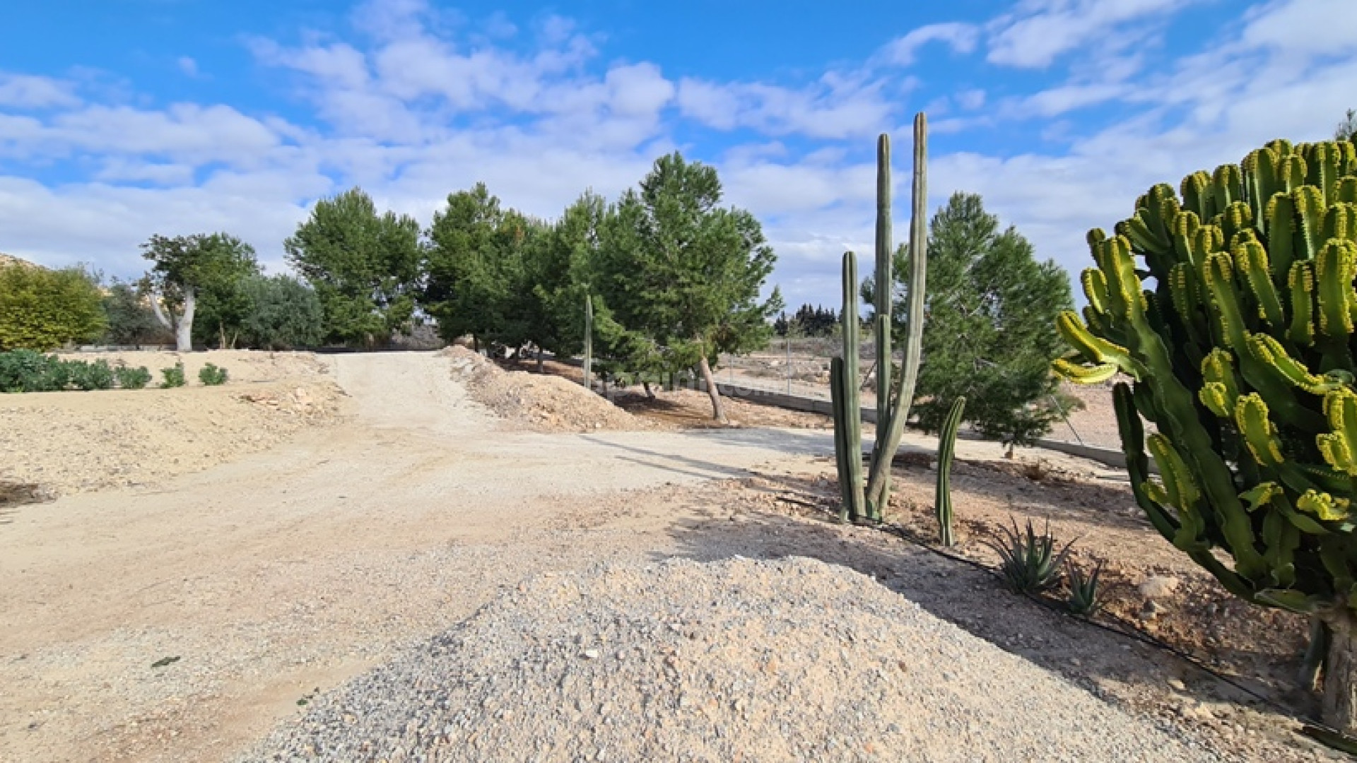 Segunda mano - Villa -
ORIHUELA - La Matanza