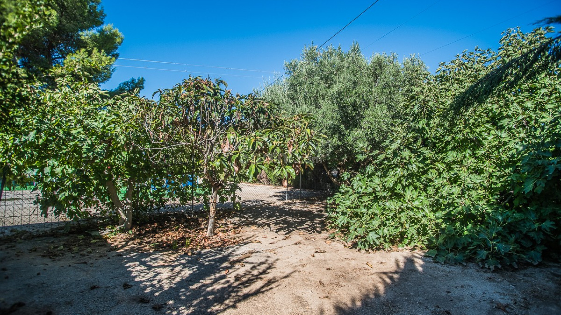 Segunda mano - Villa -
ORIHUELA - Redovan