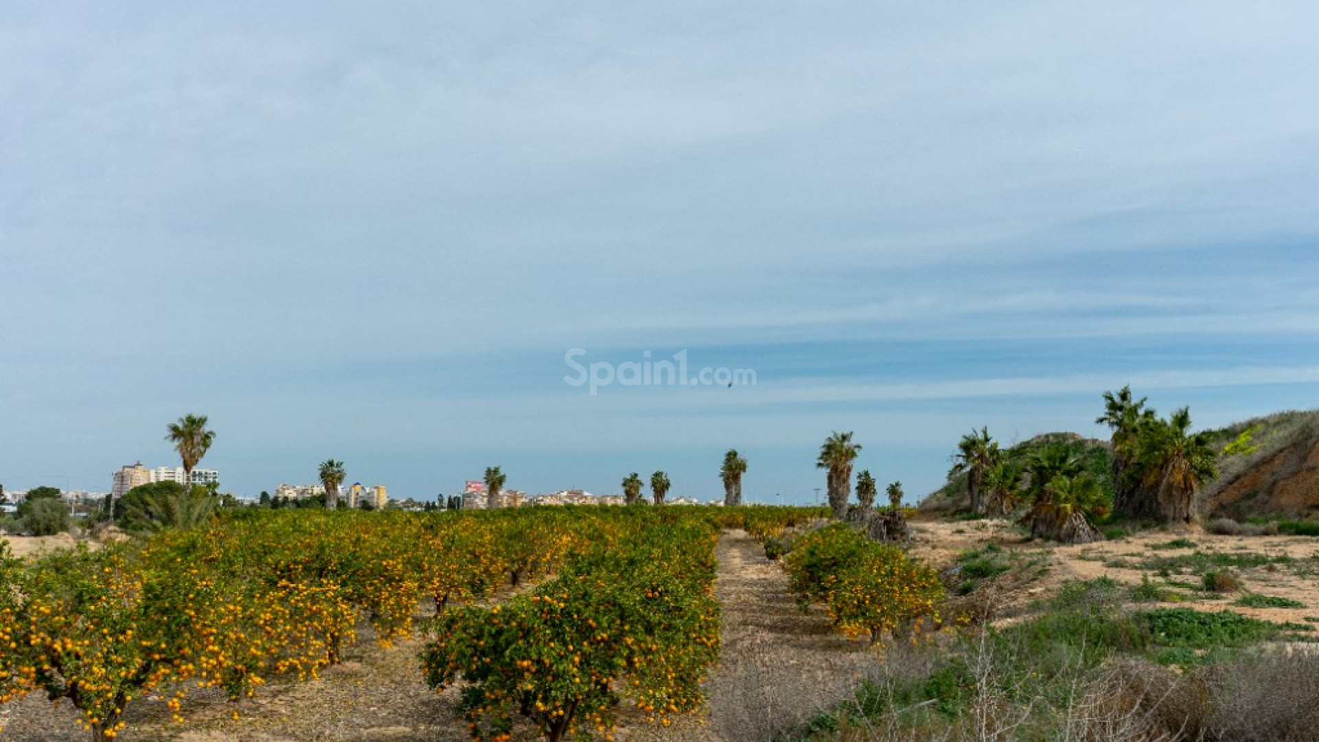 Segunda mano - Villa -
Torrevieja - Los Altos