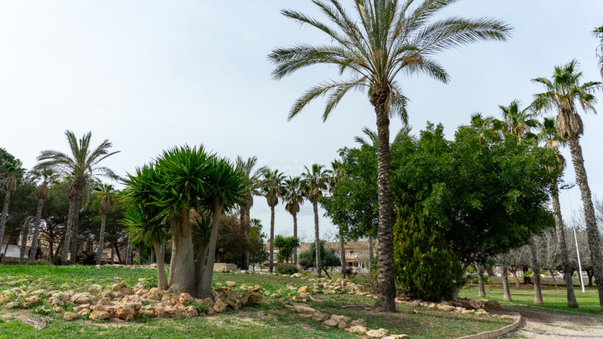 Segunda mano - Villa -
Torrevieja - Los Altos