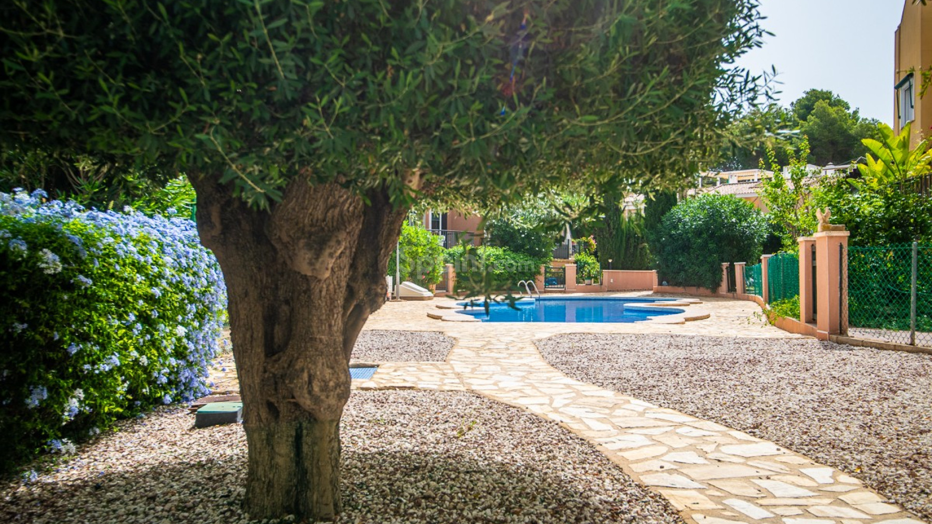 Segunda mano - Villa -
TORREVIEJA - Los Balcones