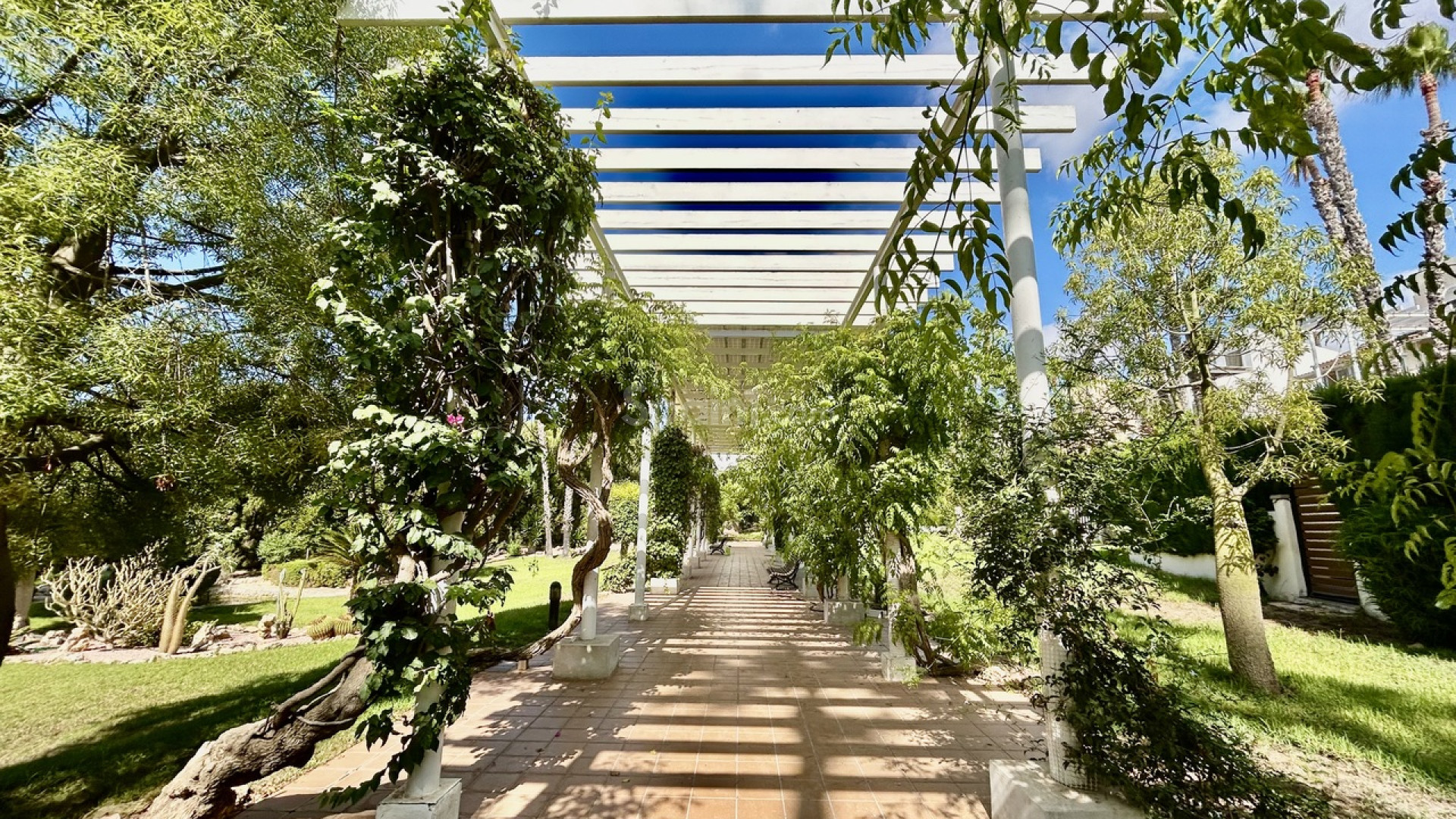 Segunda mano - Villa -
Villamartín - Villamartin