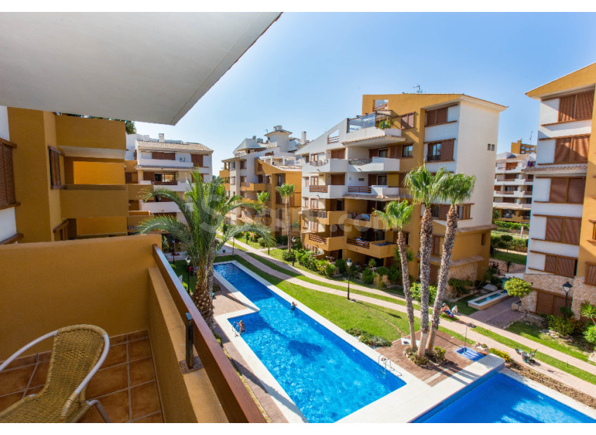 Short time rental - Apartment -
Punta Prima