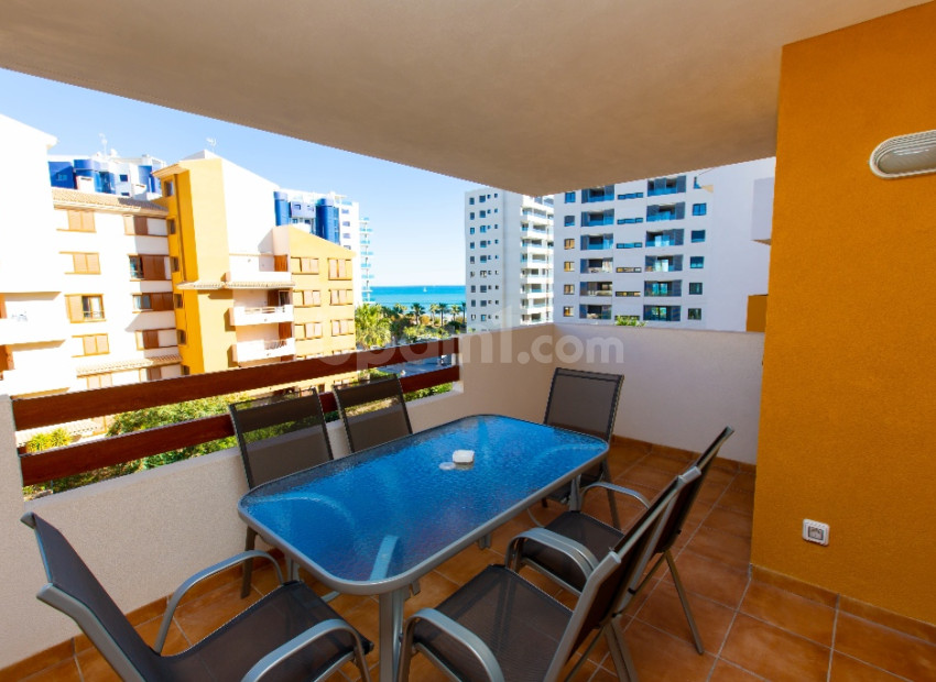 Short time rental - Apartment -
Punta Prima