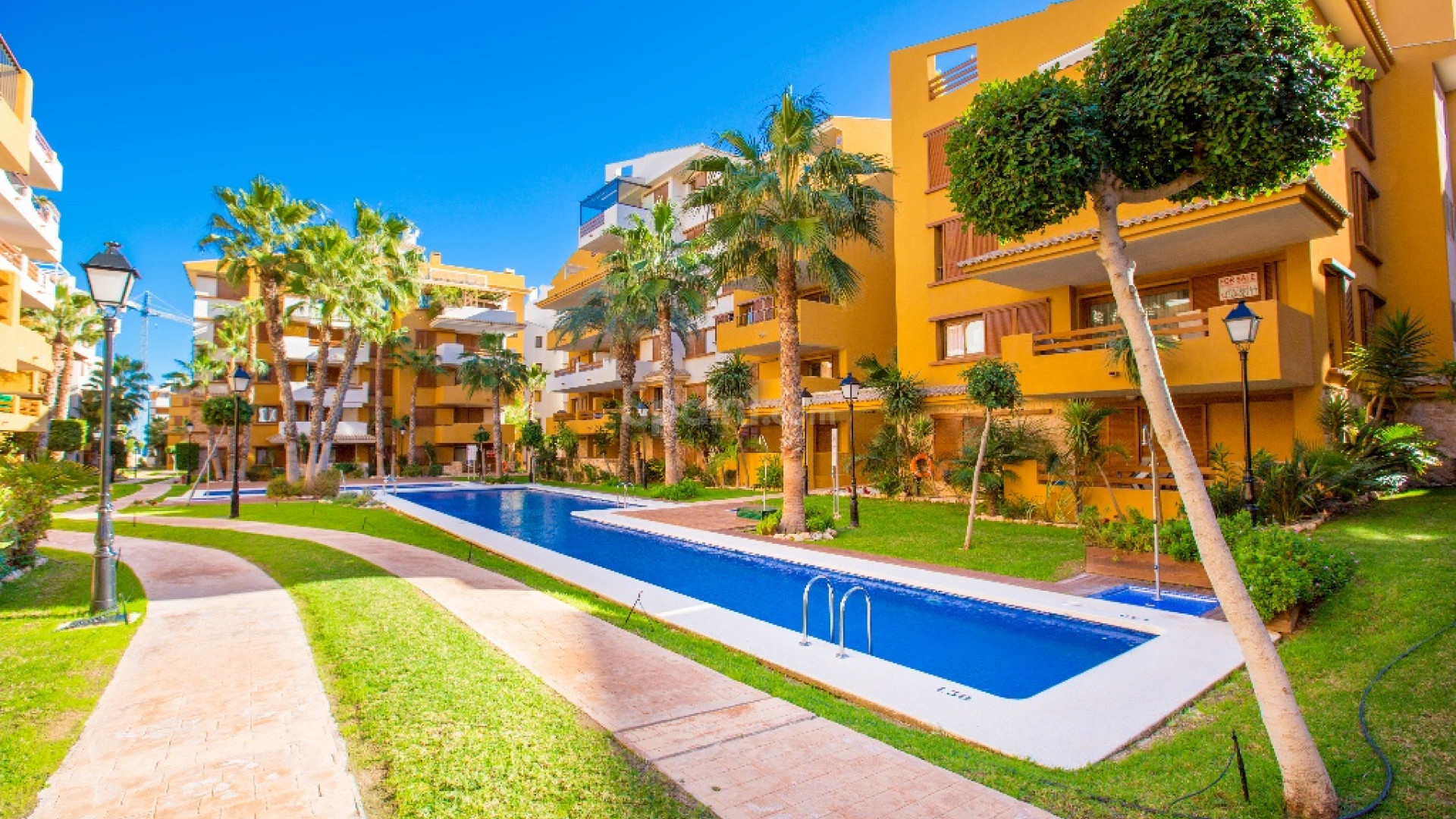 Short time rental - Apartment -
Punta Prima