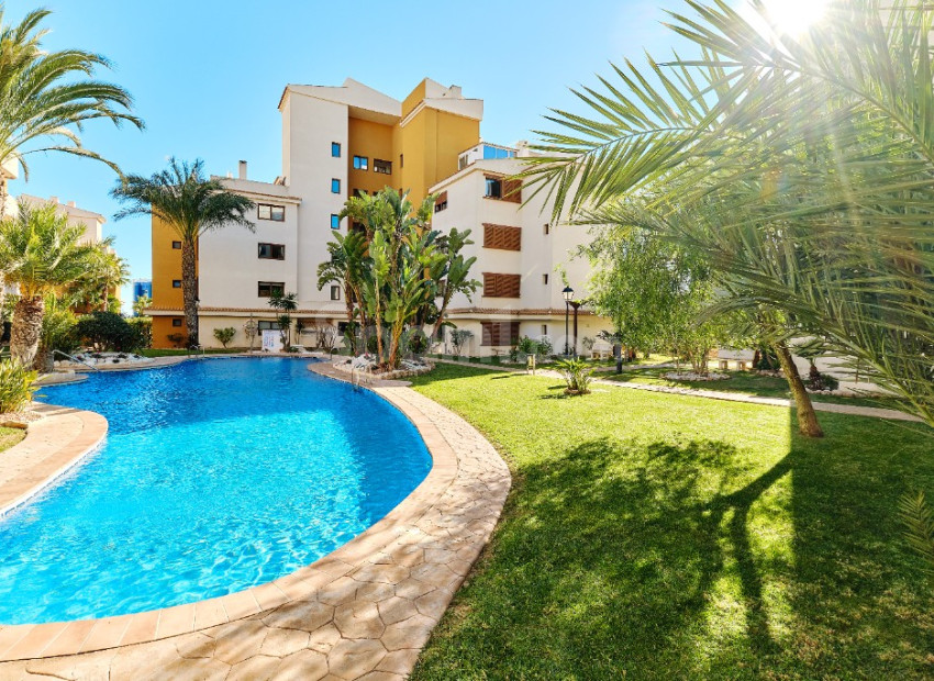 Short time rental - Apartment -
Punta Prima