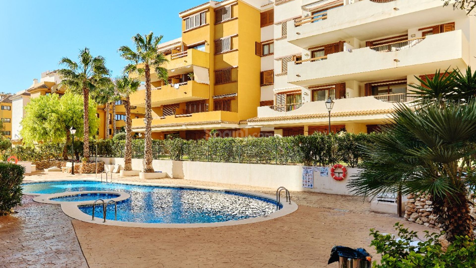 Short time rental - Apartment -
Punta Prima