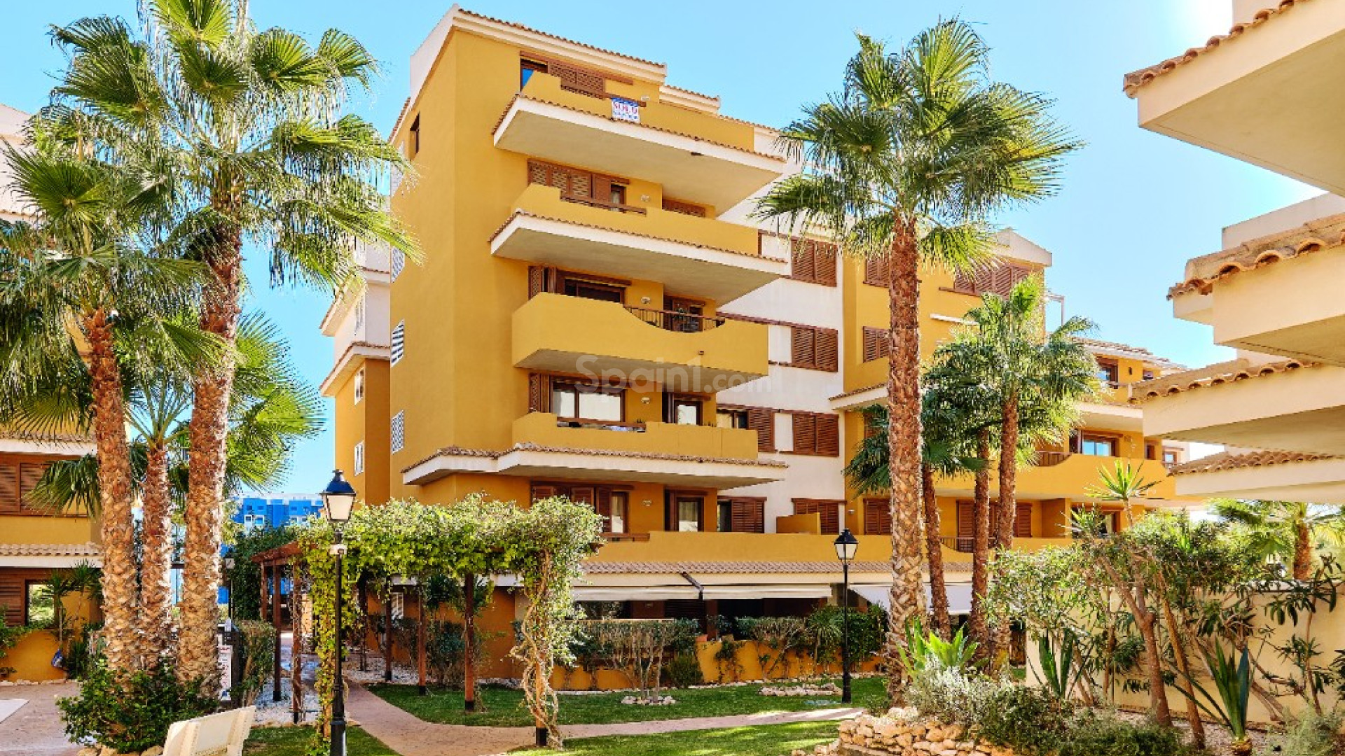 Short time rental - Apartment -
Punta Prima