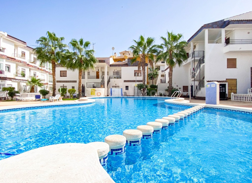 Short time rental - Lägenhet -
Punta Prima - Cala Dorada