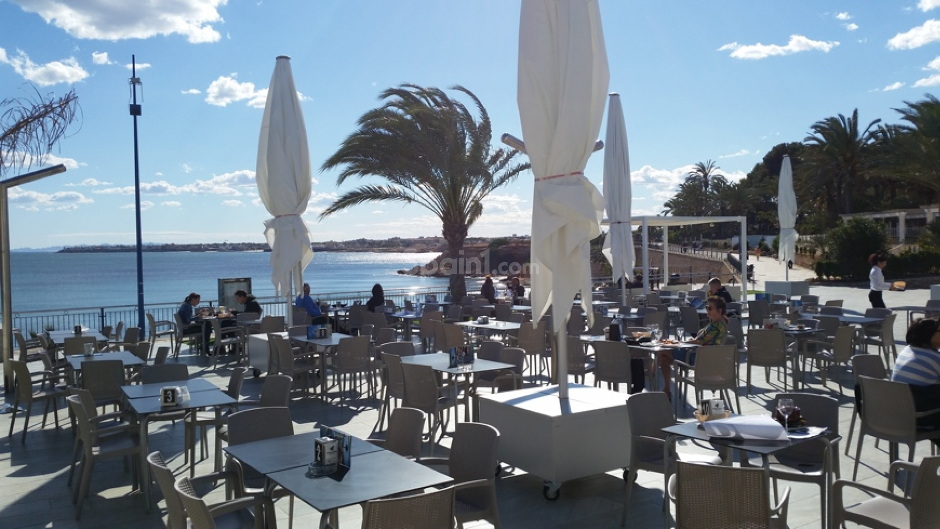 Short time rental - Lägenhet -
Punta Prima