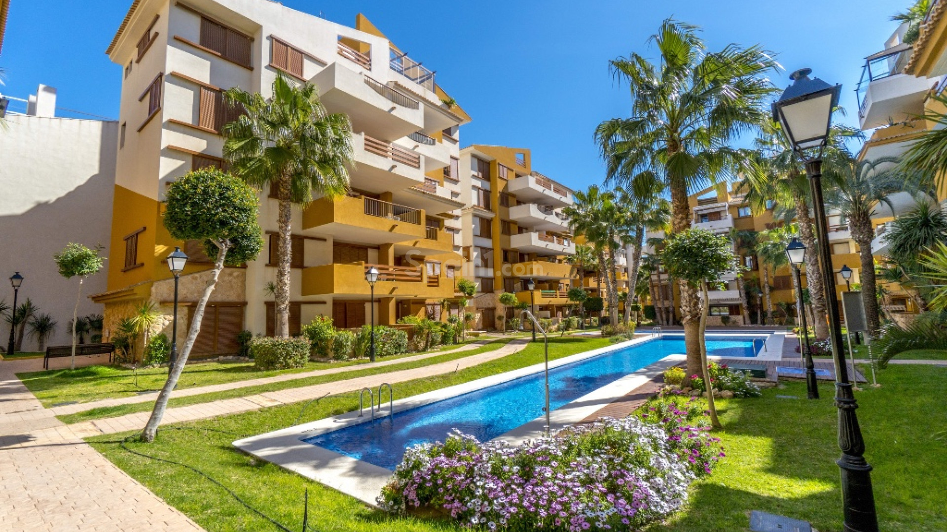 Short time rental - Lägenhet -
Punta Prima