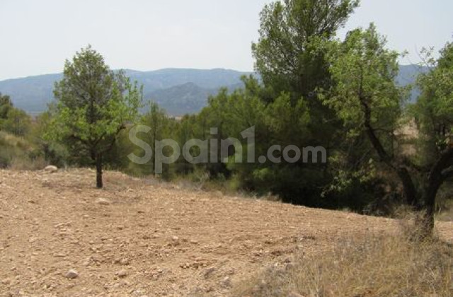 Trama - Segunda mano - Murcia -
                Murcia