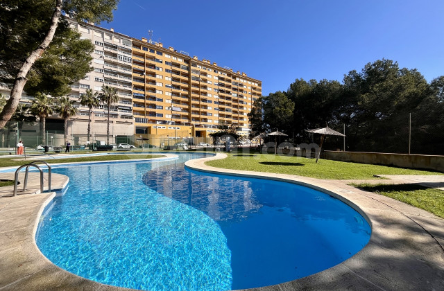 Wohnung - Resale - Dehesa de Campoamor - Campoamor