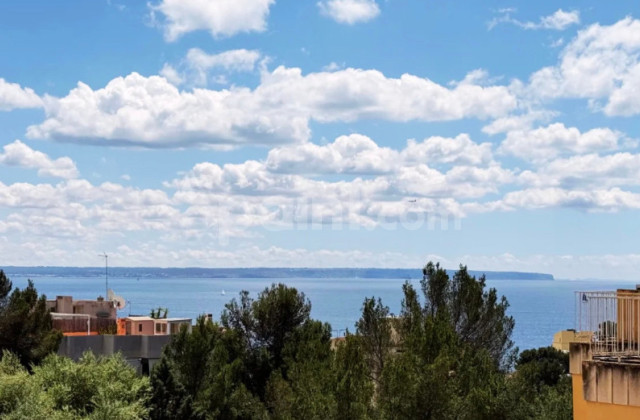 Wohnung - Resale - Palma - Sant Agustí