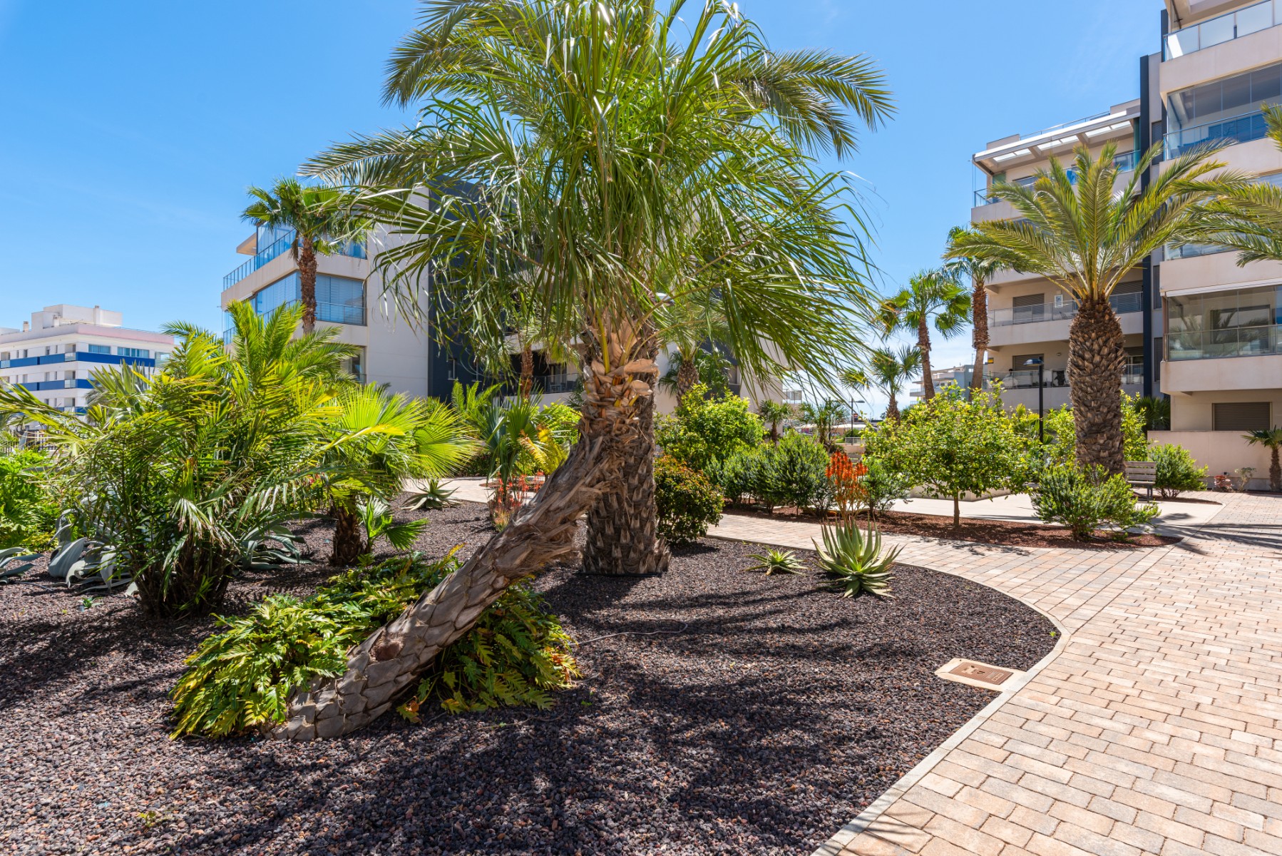 SBE1043 — Orihuela Costa bild 41