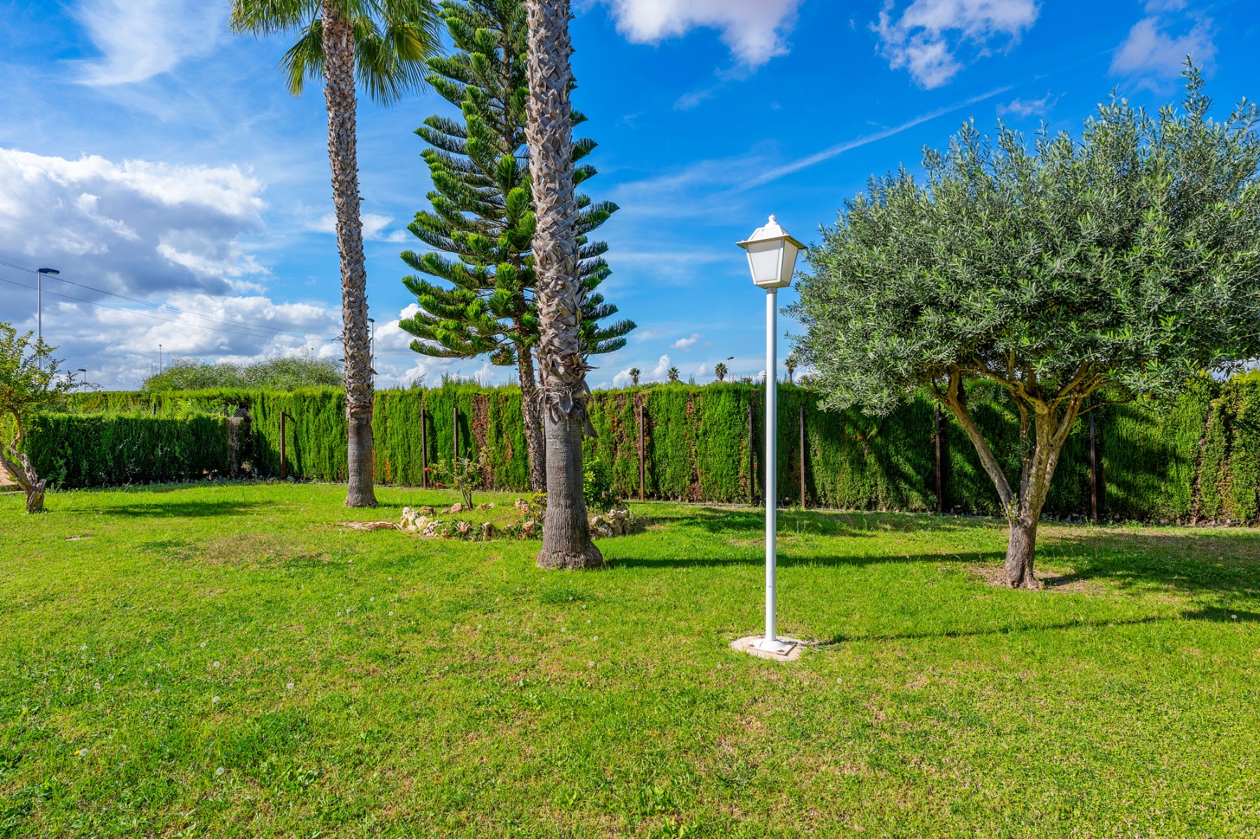 SBE1087 — Torrevieja bild 30